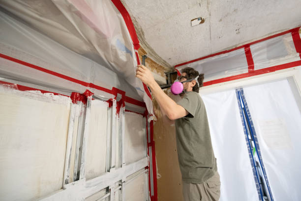Best Dehumidification Services  in Westmont, NJ