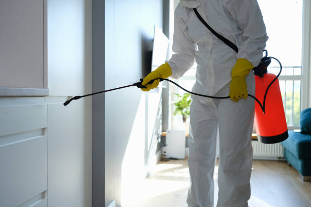 Best Mold Removal for HVAC Installations  in Westmont, NJ